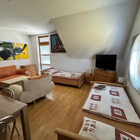 Triga Apartman *